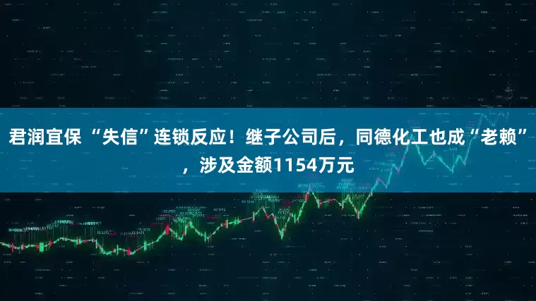 君润宜保 “失信”连锁反应！继子公司后，同德化工也成“老赖”，涉及金额1154万元