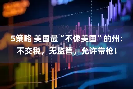 5策略 美国最“不像美国”的州：不交税，无监管，允许带枪！